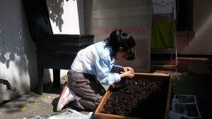 Harnero Compost - Imagen 5