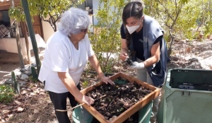 Harnero Compost - Imagen 3
