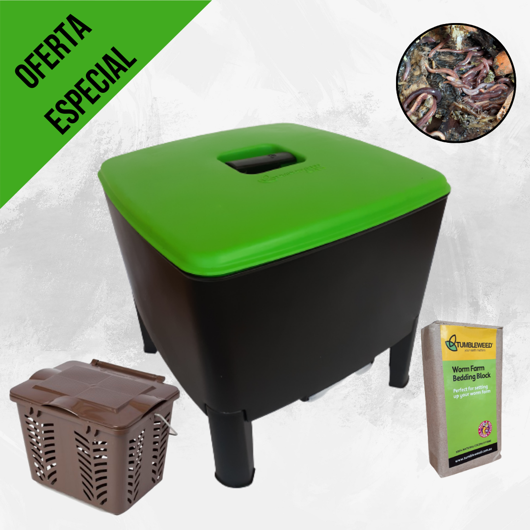 Set promo Vermicubo + Stelo (1)
