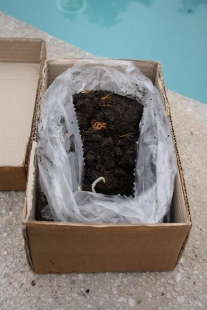 Set Vermicompostaje Worm Café 100 litros (3 bandejas) - Imagen 9